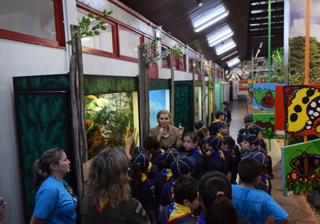 Museu de Zoologia recebe visita do grupo de escoteiros Tangará