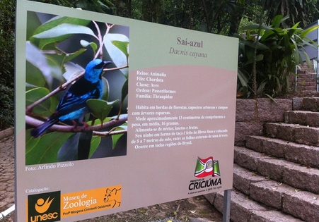 Museu de Zoologia desenvolve ações ambientais na Gruta Nossa Senhora de Lourdes