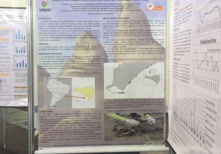 Museu de Zoologia apresenta trabalho no XXXI Congresso Brasileiro de Zoologia