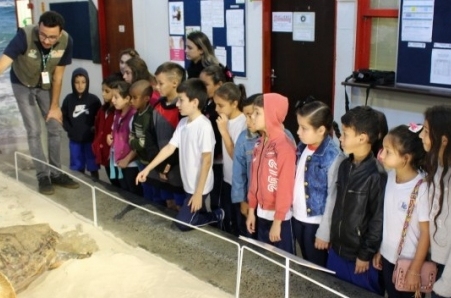 Estudantes de escola municipal visitam o Museu de Zoologia