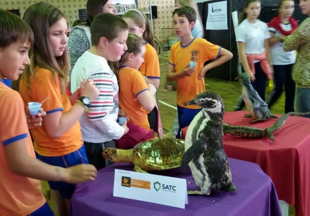 Museu de Zoolgia participa da 1ª FECITEC Turvo