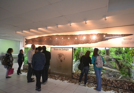 Museu de Zoologia inaugura terceiro Núcleo Expositivo