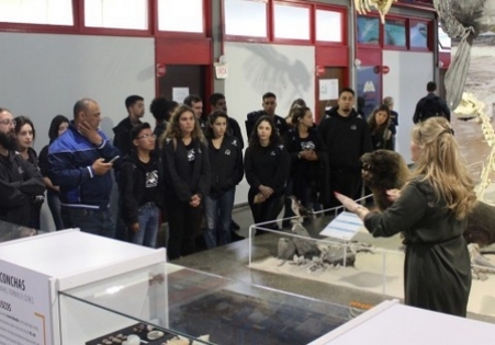Integrantes do projeto Tamar visitam Museu de Zoologia da Unesc para tarde de aprendizados