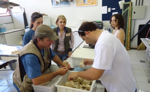 Unesc recebe visita de pesquisadores de baleias franca