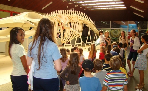 Crianças aprendem inglês na Unidade de Zoologia