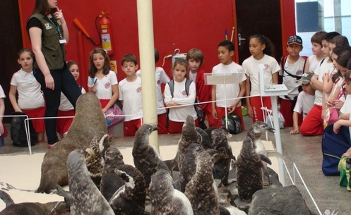 Unidade de Zoologia recebe alunos do Colégio Michel