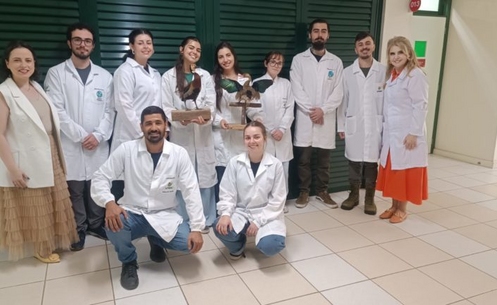 Acadêmicos aprendem prática de taxidermia durante Semana de Ciência e Tecnologia da Unesc