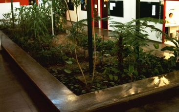 Antigo canteiro da área central do Bloco da Biblioteca, destinado à primeira Exposição de Longa Duração do Museu de Zoologia (2000).