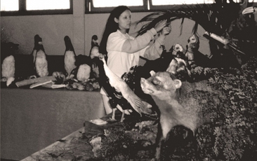 Exposição de animais taxidermizados (1997).