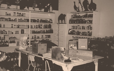 Antigo Laboratório de Ciências (1992).